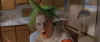 dspunk10.jpg (43480 bytes)