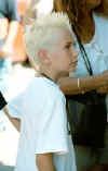 punk25.jpg (8869 bytes)