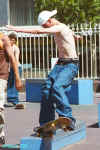 sk8er100.jpg (71461 bytes)